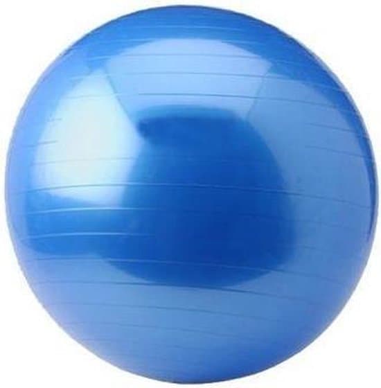 Beste budget fitness ball- Focus Fitness